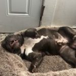 Profile picture of Rio-_-e30